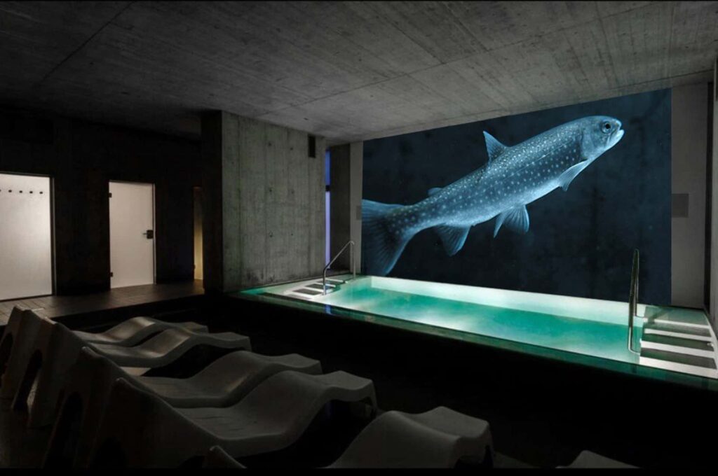 Bleiche Hotel Pool