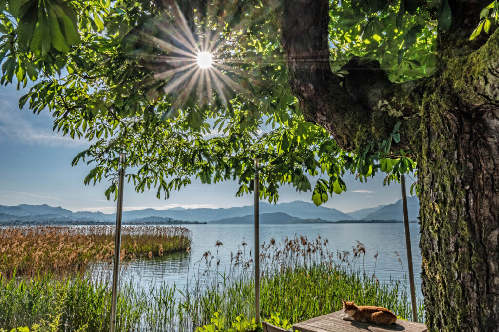 Wellnesshotel Zürichsee 2026